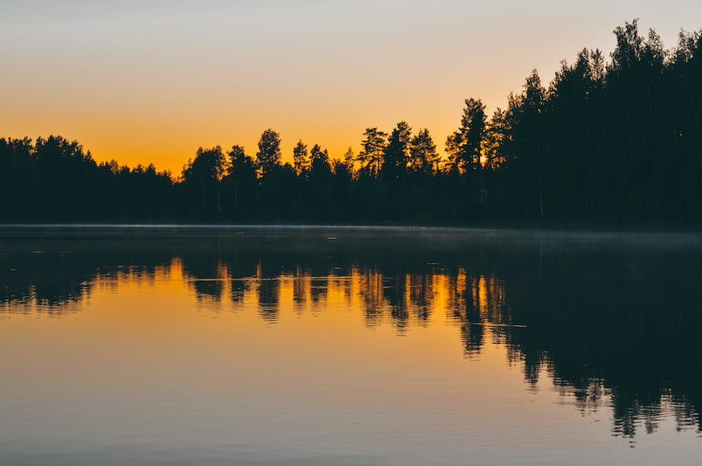 Calm Water Near Trees At Sunset