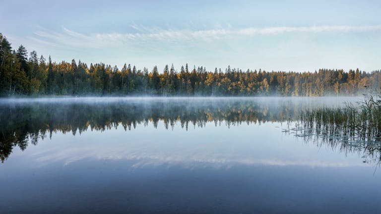 Photo of Trees Near Calm Lake